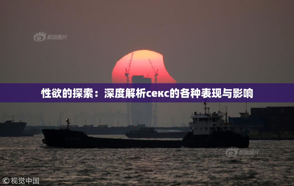 性欲的探索：深度解析секс的各种表现与影响