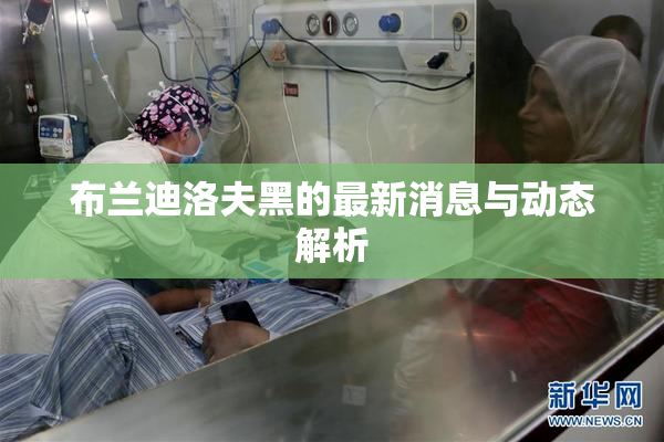 布兰迪洛夫黑的最新消息与动态解析