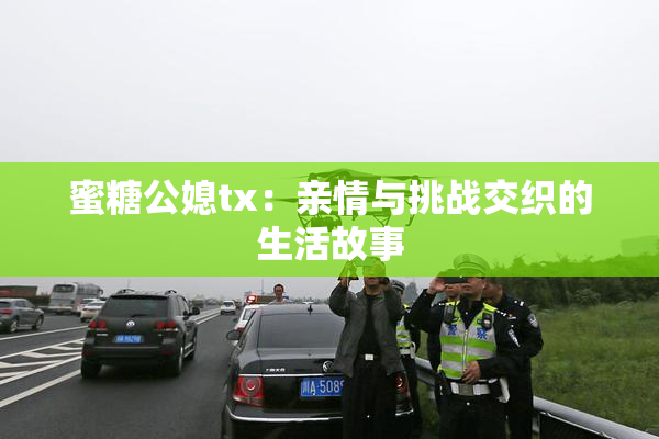 蜜糖公媳tx：亲情与挑战交织的生活故事