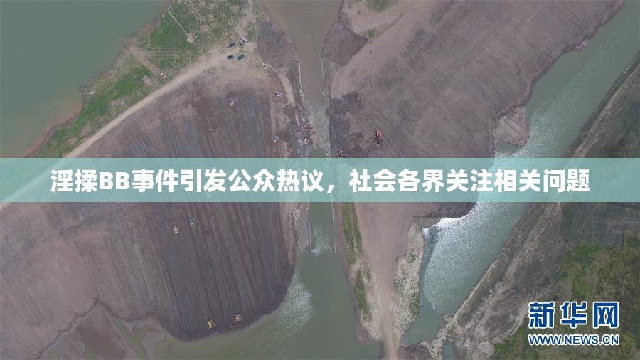 淫揉BB事件引发公众热议，社会各界关注相关问题