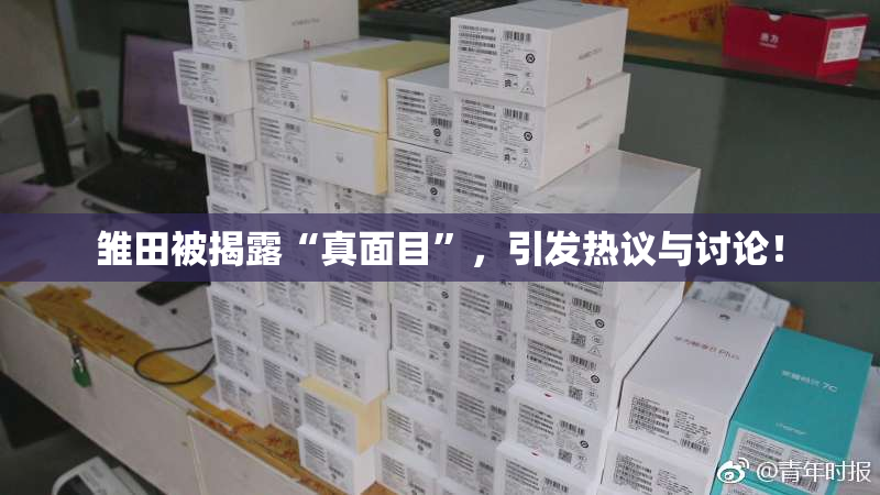 雏田被揭露“真面目”，引发热议与讨论！