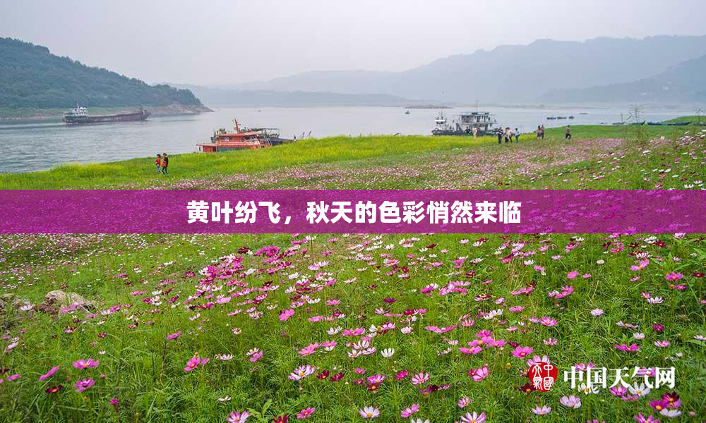 黄叶纷飞，秋天的色彩悄然来临
