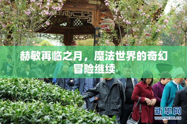 赫敏再临之月，魔法世界的奇幻冒险继续
