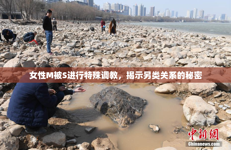女性M被S进行特殊调教，揭示另类关系的秘密