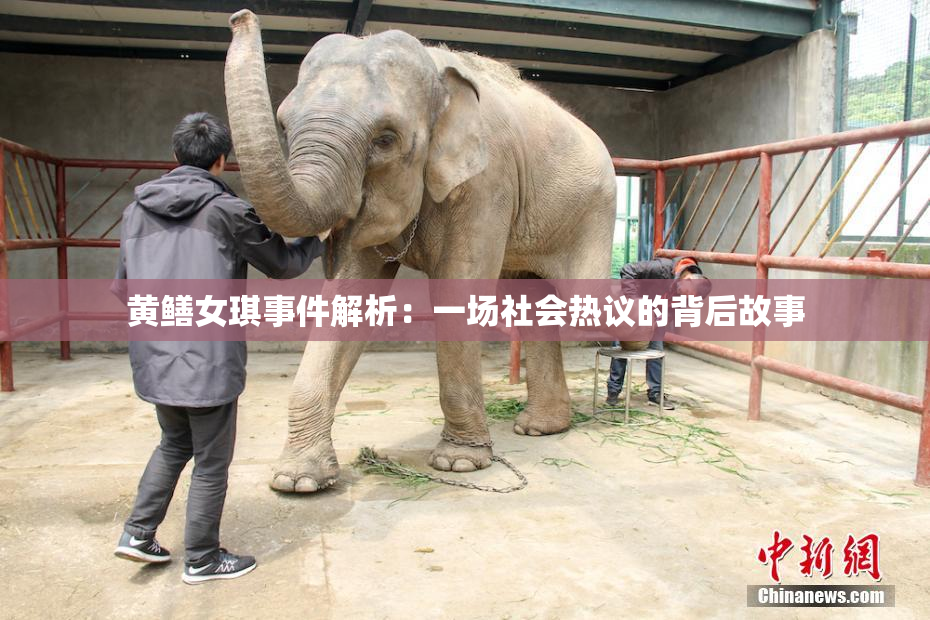 黄鳝女琪事件解析：一场社会热议的背后故事