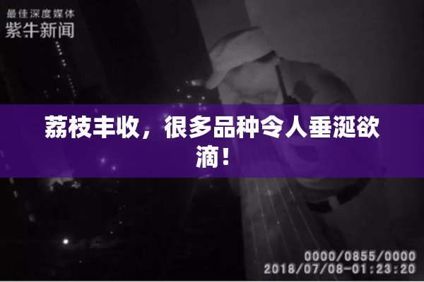 荔枝丰收，很多品种令人垂涎欲滴！