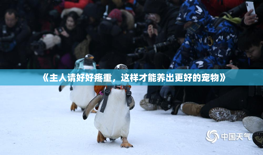 《主人请好好疼重，这样才能养出更好的宠物》