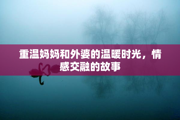 重温妈妈和外婆的温暖时光，情感交融的故事
