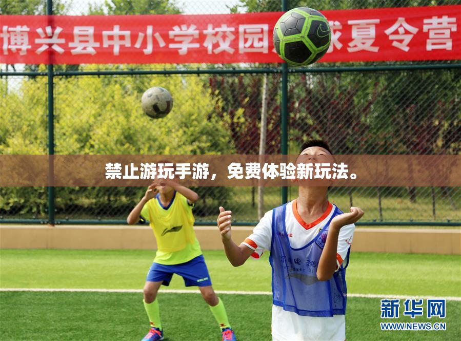 禁止游玩手游，免费体验新玩法。