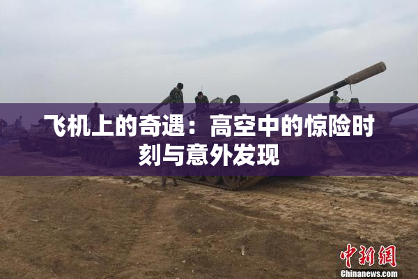 飞机上的奇遇：高空中的惊险时刻与意外发现