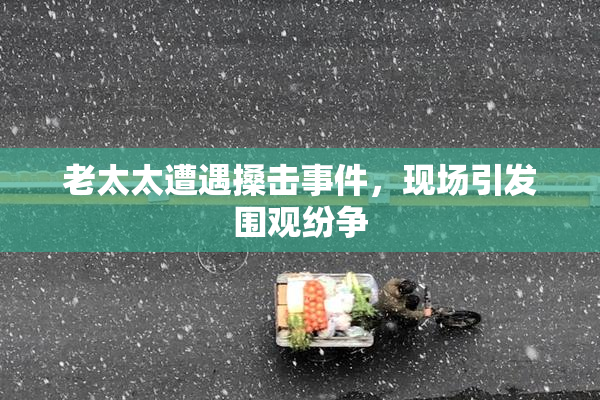 老太太遭遇搡击事件，现场引发围观纷争