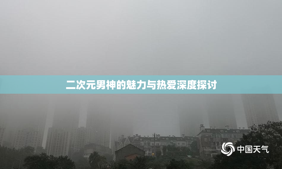 二次元男神的魅力与热爱深度探讨