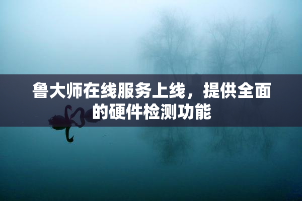 鲁大师在线服务上线，提供全面的硬件检测功能