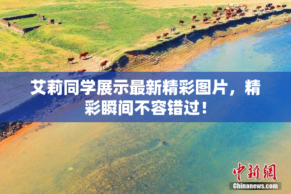艾莉同学展示最新精彩图片，精彩瞬间不容错过！