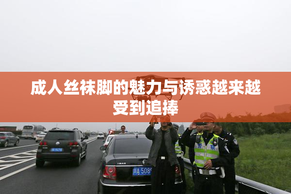 成人丝袜脚的魅力与诱惑越来越受到追捧