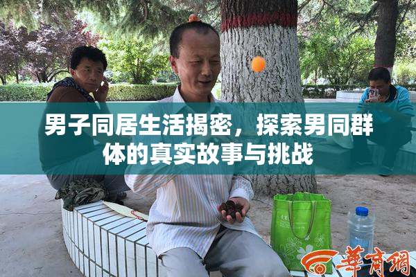 男子同居生活揭密，探索男同群体的真实故事与挑战