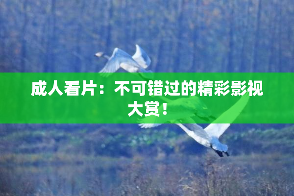 成人看片：不可错过的精彩影视大赏！