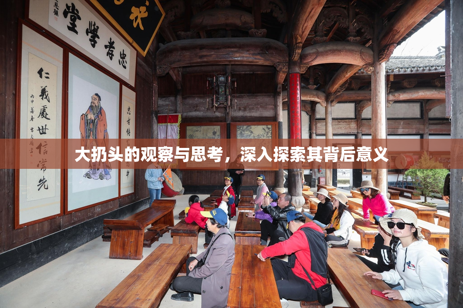 大扔头的观察与思考，深入探索其背后意义