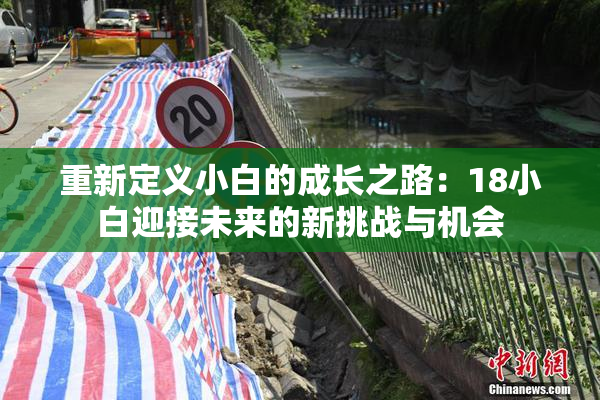 重新定义小白的成长之路：18小白迎接未来的新挑战与机会