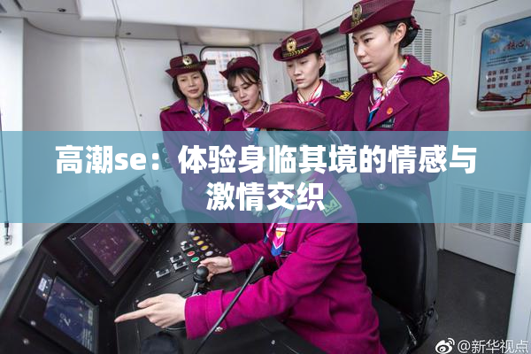 高潮se：体验身临其境的情感与激情交织