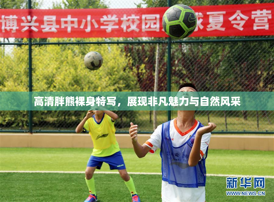 高清胖熊裸身特写，展现非凡魅力与自然风采