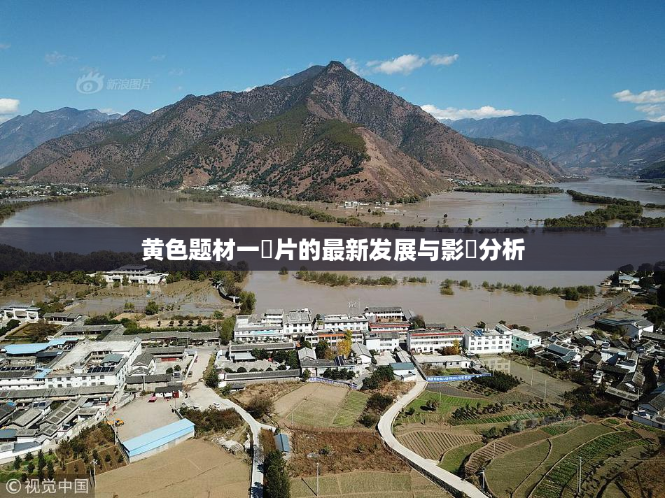黄色题材一級片的最新发展与影響分析