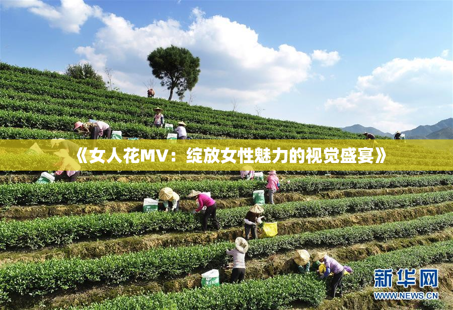 《女人花MV：绽放女性魅力的视觉盛宴》