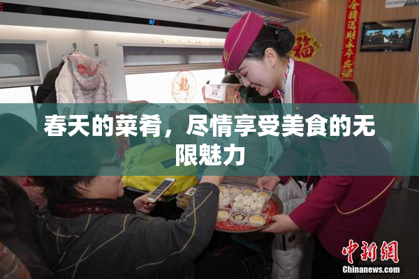 春天的菜肴，尽情享受美食的无限魅力