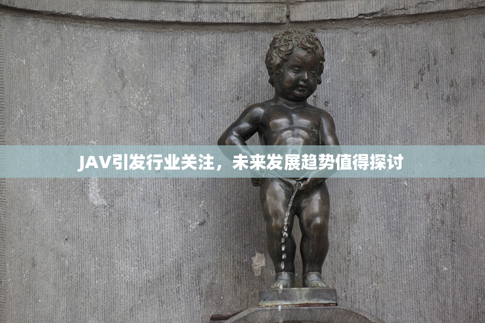 JAV引发行业关注，未来发展趋势值得探讨