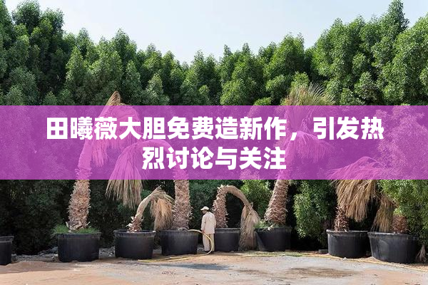 田曦薇大胆免费造新作，引发热烈讨论与关注