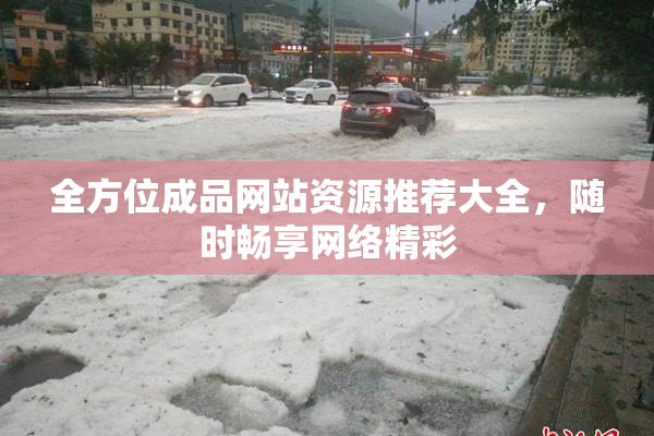 全方位成品网站资源推荐大全，随时畅享网络精彩