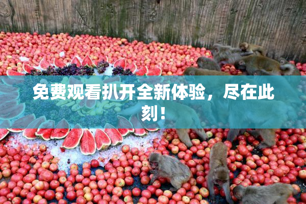 免费观看扒开全新体验，尽在此刻！