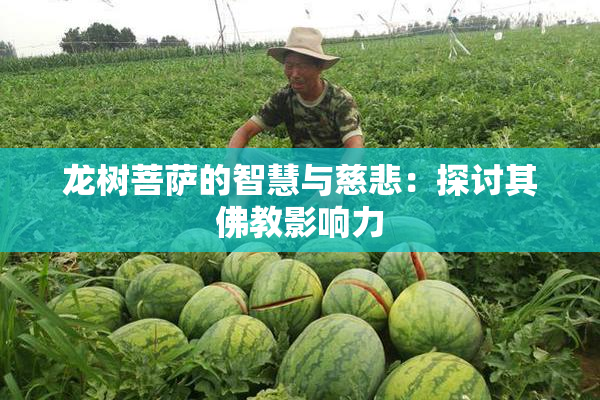 龙树菩萨的智慧与慈悲：探讨其佛教影响力