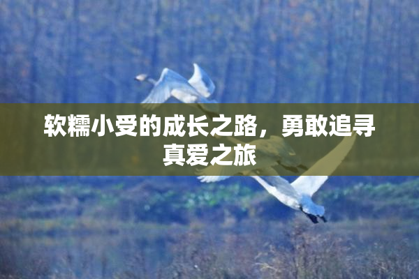 软糯小受的成长之路，勇敢追寻真爱之旅