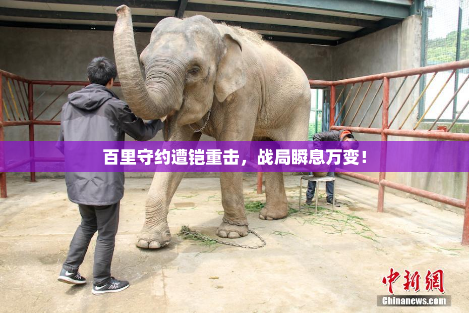 百里守约遭铠重击，战局瞬息万变！