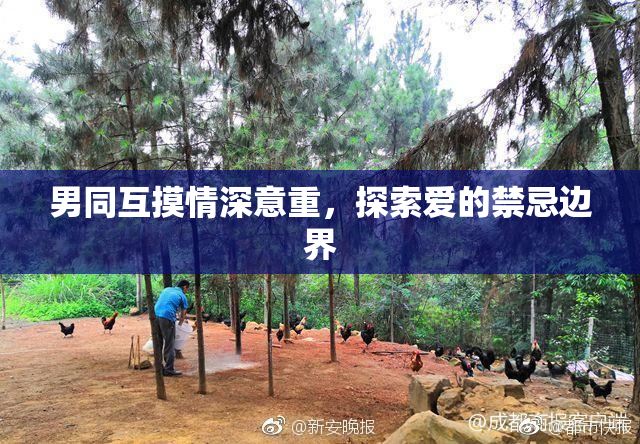 男同互摸情深意重，探索爱的禁忌边界
