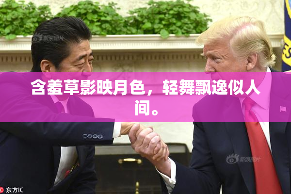 含羞草影映月色，轻舞飘逸似人间。