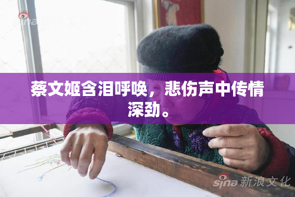 蔡文姬含泪呼唤，悲伤声中传情深劲。