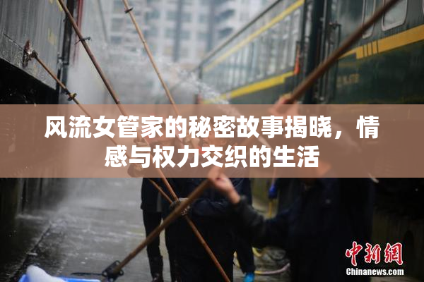 风流女管家的秘密故事揭晓，情感与权力交织的生活