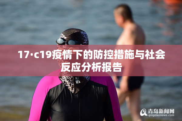 17·c19疫情下的防控措施与社会反应分析报告