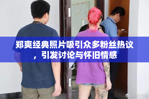 郑爽经典照片吸引众多粉丝热议，引发讨论与怀旧情感