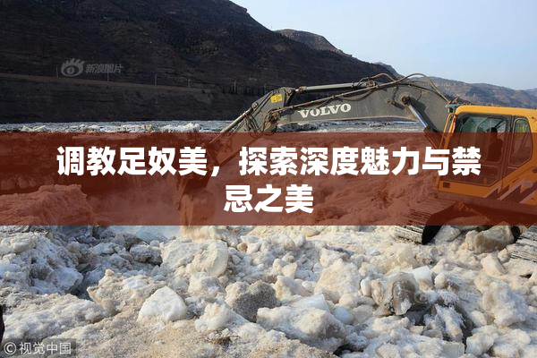 调教足奴美，探索深度魅力与禁忌之美