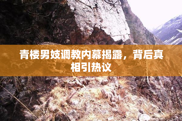 青楼男妓调教内幕揭露，背后真相引热议