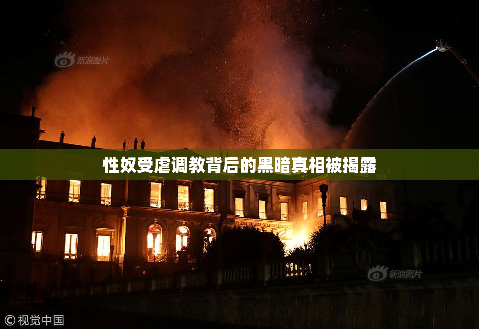 性奴受虐调教背后的黑暗真相被揭露