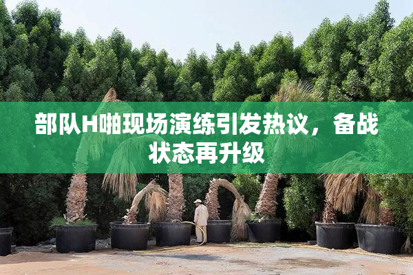 部队H啪现场演练引发热议，备战状态再升级