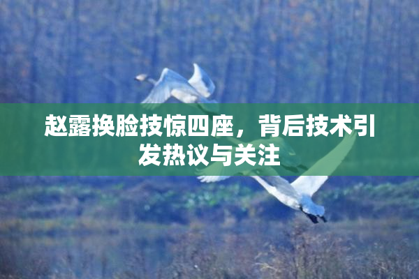赵露换脸技惊四座，背后技术引发热议与关注