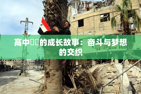 高中妺妺的成长故事：奋斗与梦想的交织