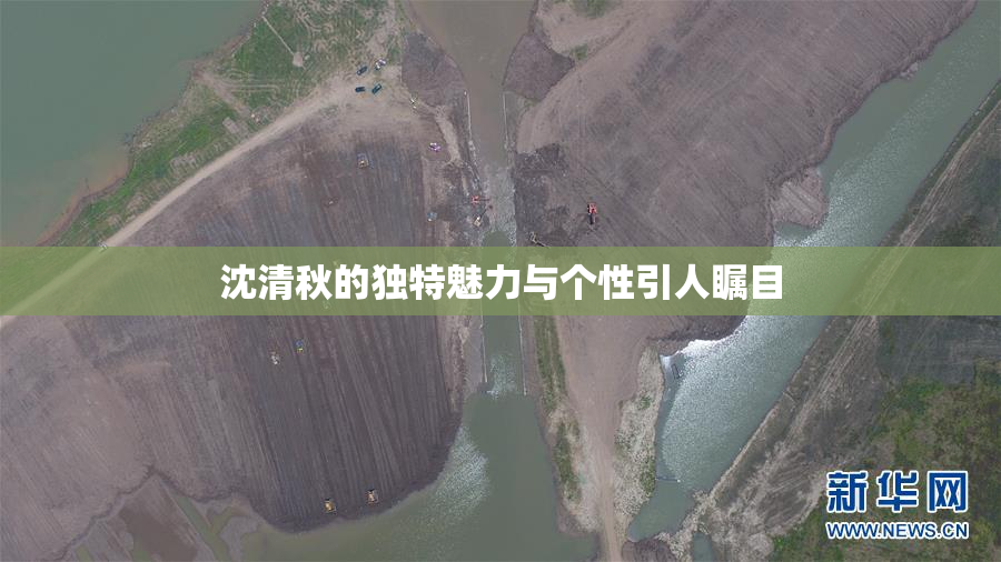 沈清秋的独特魅力与个性引人瞩目