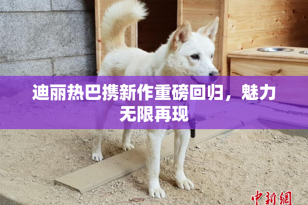 迪丽热巴携新作重磅回归，魅力无限再现