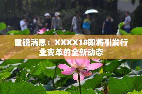 重磅消息：XXXX18即将引发行业变革的全新动态